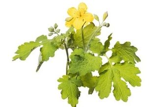 Gelarex sadrži celandin