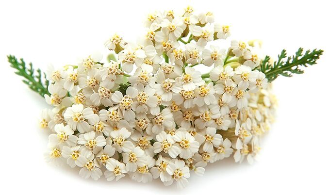 Gelarex sadrži tisuću listova